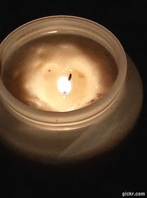 Animated GIF made with Gickr