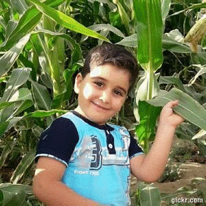 Animated GIF made with Gickr