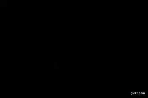 Animated GIF made with Gickr