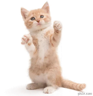 Animated GIF made with Gickr