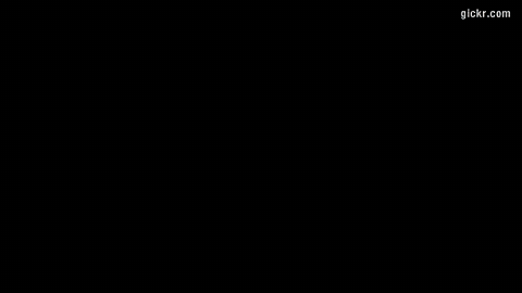 Animated GIF made with Gickr
