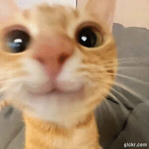 Animated GIF made with Gickr