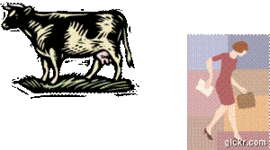 Animated GIF made with Gickr