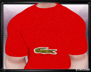 Animated GIF made with Gickr