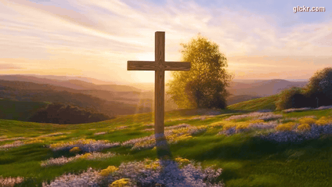 Animated GIF made with Gickr