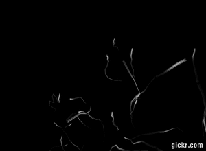 Animated GIF made with Gickr