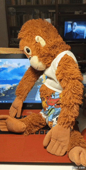 Animated GIF made with Gickr