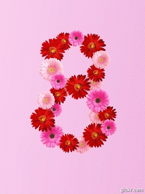 Animated GIF made with Gickr