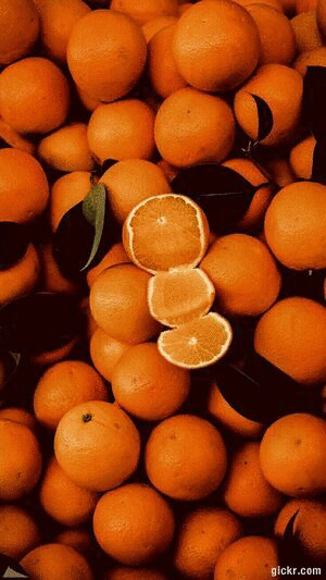 Animated GIF made with Gickr
