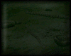 Animated GIF made with Gickr