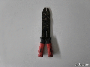 Animated GIF made with Gickr