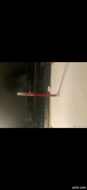 Animated GIF made with Gickr