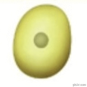 Animated GIF made with Gickr