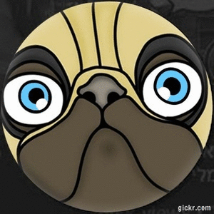 Animated GIF made with Gickr