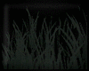 Animated GIF made with Gickr