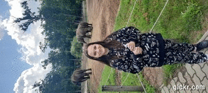 Animated GIF made with Gickr