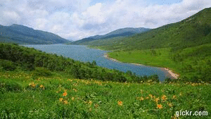 Animated GIF made with Gickr