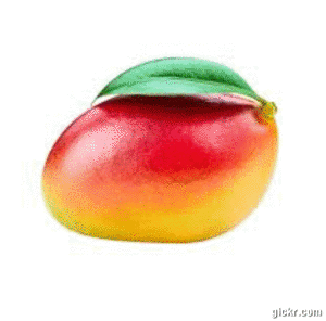 Animated GIF made with Gickr