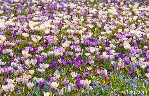 Animated GIF made with Gickr