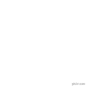 Animated GIF made with Gickr