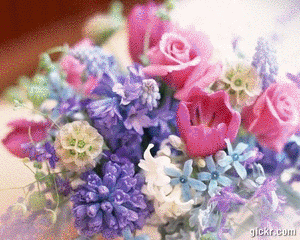 Animated GIF made with Gickr