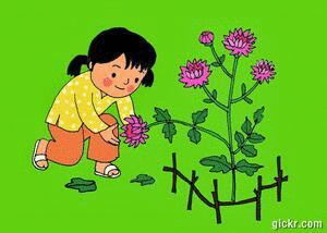 Animated GIF made with Gickr