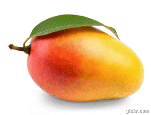 Animated GIF made with Gickr