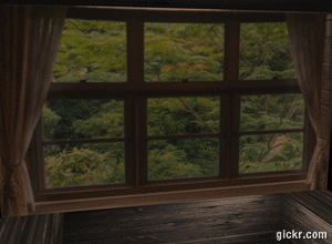 Animated GIF made with Gickr