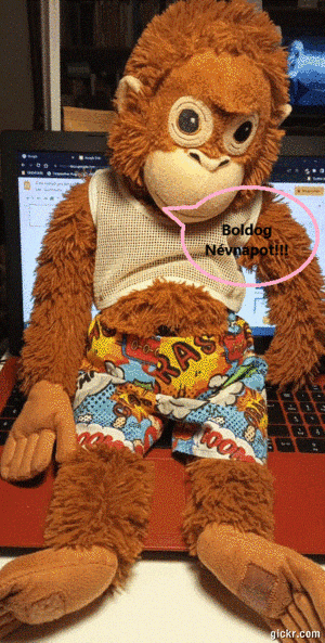 Animated GIF made with Gickr