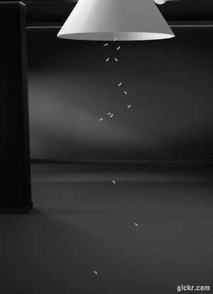 Animated GIF made with Gickr