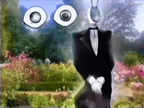 Animated GIF made with Gickr