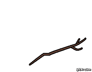 Animated GIF made with Gickr