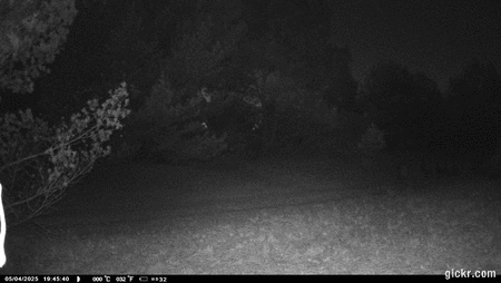 Animated GIF made with Gickr