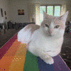 Animated GIF made with Gickr