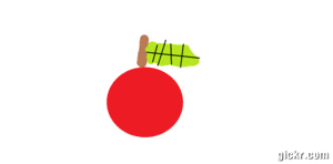 Animated GIF made with Gickr