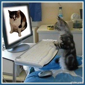 Animated GIF made with Gickr
