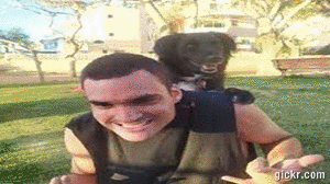 Animated GIF made with Gickr