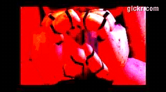 Animated GIF made with Gickr