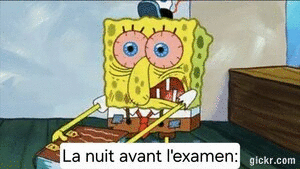 Animated GIF made with Gickr