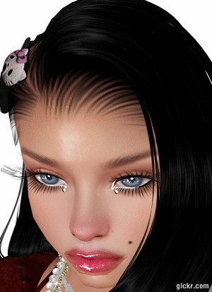 Animated GIF made with Gickr