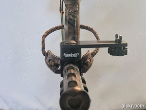 Animated GIF made with Gickr
