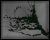 Animated GIF made with Gickr