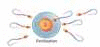 Animated GIF made with Gickr