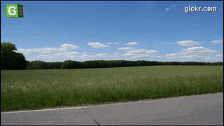 Animated GIF made with Gickr
