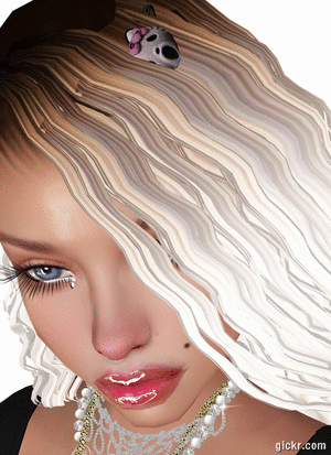 Animated GIF made with Gickr