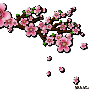 Animated GIF made with Gickr