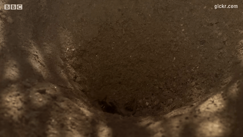 Animated GIF made with Gickr