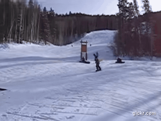 Animated GIF made with Gickr