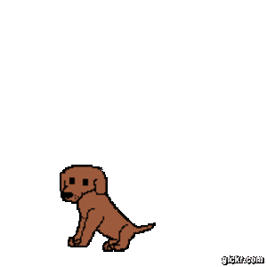 Animated GIF made with Gickr