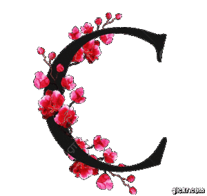 Animated GIF made with Gickr